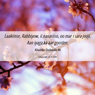 Picture 06 - Sabuurradii 41:10 SOM - Laakiinse, Rabbiyow, ii naxariiso, oo mar i sara - Bible Verse Picture