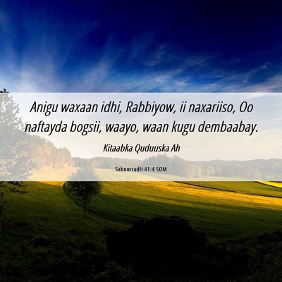 Picture 06 - Sabuurradii 41:4 SOM - Anigu waxaan idhi, Rabbiyow, ii naxariiso, Oo - Bible Verse Picture