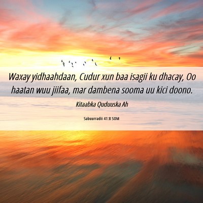 Picture 06 - Sabuurradii 41:8 SOM - Waxay yidhaahdaan, Cudur xun baa isagii ku - Bible Verse Picture