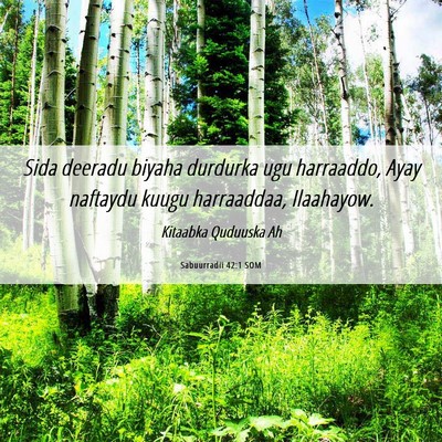 Picture 06 - Sabuurradii 42:1 SOM - Sida deeradu biyaha durdurka ugu harraaddo, Ayay - Bible Verse Picture