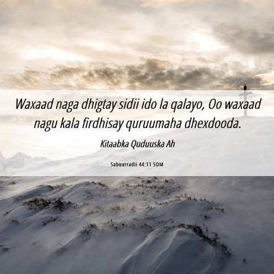 Picture 06 - Sabuurradii 44:11 SOM - Waxaad naga dhigtay sidii ido la qalayo, Oo - Bible Verse Picture