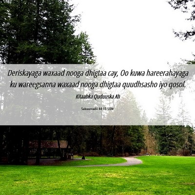 Picture 06 - Sabuurradii 44:13 SOM - Deriskayaga waxaad nooga dhigtaa cay, Oo kuwa - Bible Verse Picture