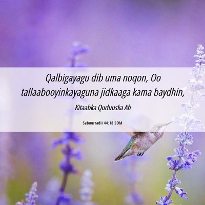 Picture 06 - Sabuurradii 44:18 SOM - Qalbigayagu dib uma noqon, Oo - Bible Verse Picture