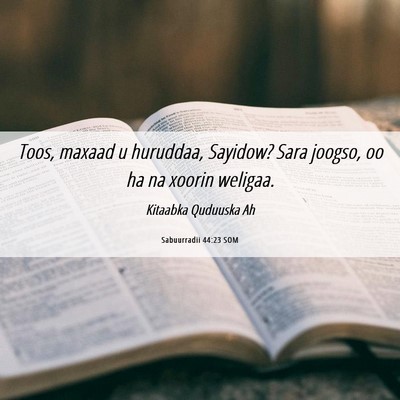 Picture 06 - Sabuurradii 44:23 SOM - Toos, maxaad u huruddaa, Sayidow? Sara joogso, oo - Bible Verse Picture