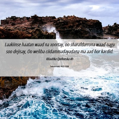 Picture 06 - Sabuurradii 44:9 SOM - Laakiinse haatan waad na xoortay, oo - Bible Verse Picture