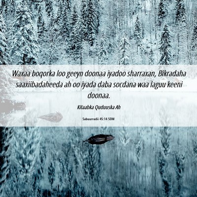 Picture 06 - Sabuurradii 45:14 SOM - Waxaa boqorka loo geeyn doonaa iyadoo sharraxan, - Bible Verse Picture