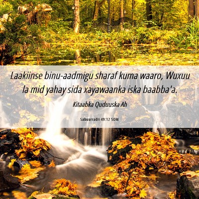 Picture 06 - Sabuurradii 49:12 SOM - Laakiinse binu-aadmigu sharaf kuma waaro, Wuxuu - Bible Verse Picture