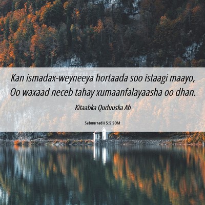 Picture 06 - Sabuurradii 5:5 SOM - Kan ismadax-weyneeya hortaada soo istaagi maayo, - Bible Verse Picture