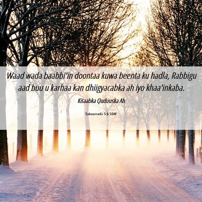 Picture 06 - Sabuurradii 5:6 SOM - Waad wada baabbi'in doontaa kuwa beenta ku hadla, - Bible Verse Picture
