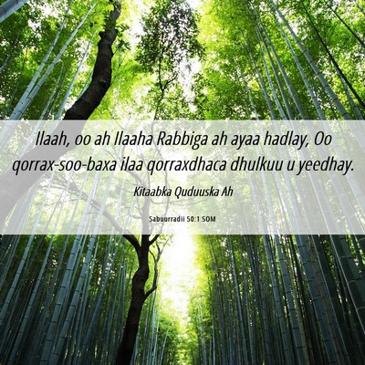 Picture 06 - Sabuurradii 50:1 SOM - Ilaah, oo ah Ilaaha Rabbiga ah ayaa hadlay, Oo - Bible Verse Picture