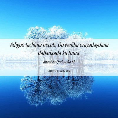 Picture 06 - Sabuurradii 50:17 SOM - Adigoo tacliinta neceb, Oo weliba erayadaydana - Bible Verse Picture