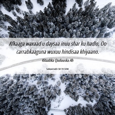 Picture 06 - Sabuurradii 50:19 SOM - Afkaaga waxaad u daysaa inuu shar ku hadlo, Oo - Bible Verse Picture