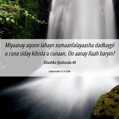 Picture 06 - Sabuurradii 53:4 SOM - Miyaanay aqoon lahayn xumaanfalayaasha dadkaygii - Bible Verse Picture