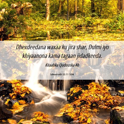 Picture 06 - Sabuurradii 55:11 SOM - Dhexdeedana waxaa ku jira shar, Dulmi iyo - Bible Verse Picture