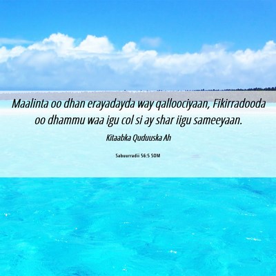 Picture 06 - Sabuurradii 56:5 SOM - Maalinta oo dhan erayadayda way qalloociyaan, - Bible Verse Picture
