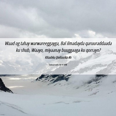 Picture 06 - Sabuurradii 56:8 SOM - Waad og tahay warwareeggayga, Bal ilmadayda - Bible Verse Picture