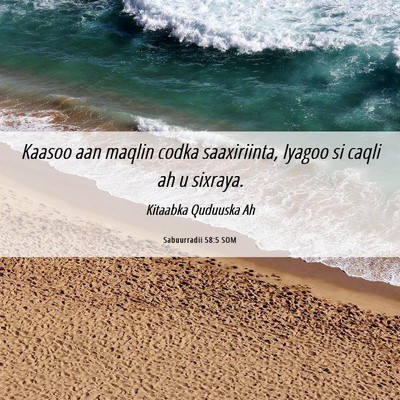 Picture 06 - Sabuurradii 58:5 SOM - Kaasoo aan maqlin codka saaxiriinta, Iyagoo si - Bible Verse Picture