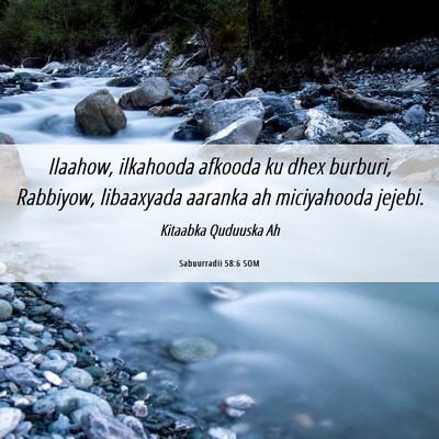 Picture 06 - Sabuurradii 58:6 SOM - Ilaahow, ilkahooda afkooda ku dhex burburi, - Bible Verse Picture
