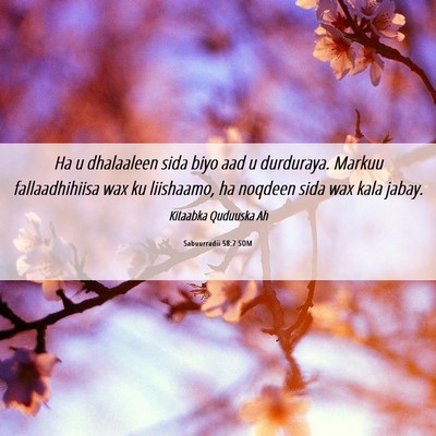 Picture 06 - Sabuurradii 58:7 SOM - Ha u dhalaaleen sida biyo aad u durduraya. Markuu - Bible Verse Picture