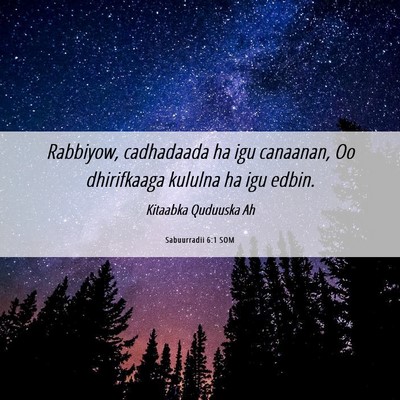Picture 06 - Sabuurradii 6:1 SOM - Rabbiyow, cadhadaada ha igu canaanan, Oo - Bible Verse Picture