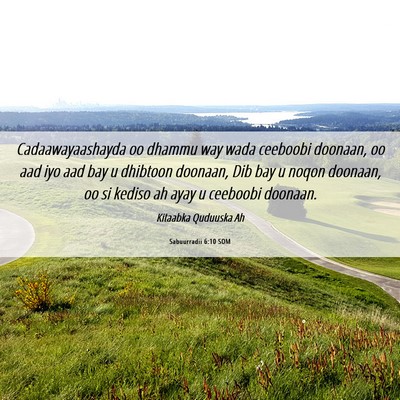 Picture 06 - Sabuurradii 6:10 SOM - Cadaawayaashayda oo dhammu way wada ceeboobi - Bible Verse Picture