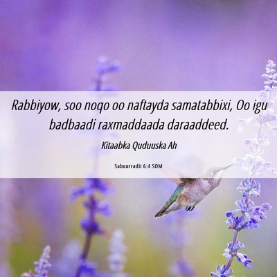 Picture 06 - Sabuurradii 6:4 SOM - Rabbiyow, soo noqo oo naftayda samatabbixi, Oo - Bible Verse Picture