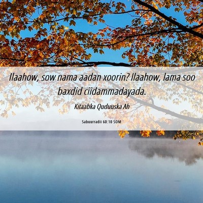 Picture 06 - Sabuurradii 60:10 SOM - Ilaahow, sow nama aadan xoorin? Ilaahow, lama soo - Bible Verse Picture