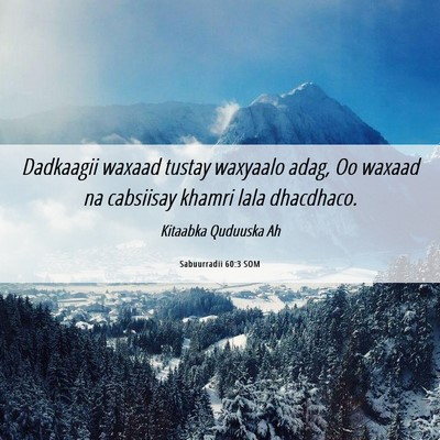 Picture 06 - Sabuurradii 60:3 SOM - Dadkaagii waxaad tustay waxyaalo adag, Oo waxaad - Bible Verse Picture
