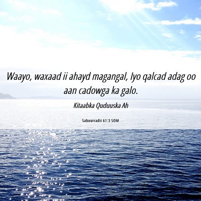 Picture 06 - Sabuurradii 61:3 SOM - Waayo, waxaad ii ahayd magangal, Iyo qalcad adag - Bible Verse Picture