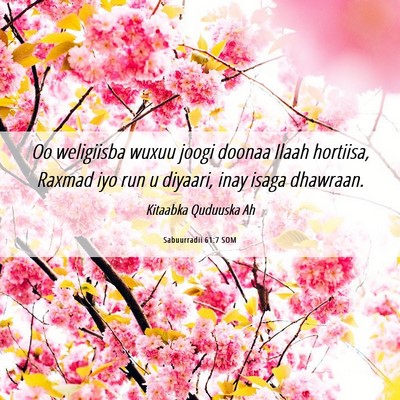 Picture 06 - Sabuurradii 61:7 SOM - Oo weligiisba wuxuu joogi doonaa Ilaah hortiisa, - Bible Verse Picture