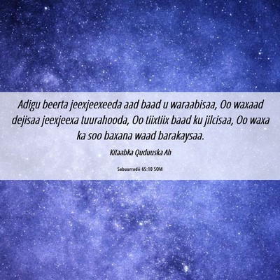 Picture 06 - Sabuurradii 65:10 SOM - Adigu beerta jeexjeexeeda aad baad u waraabisaa, - Bible Verse Picture