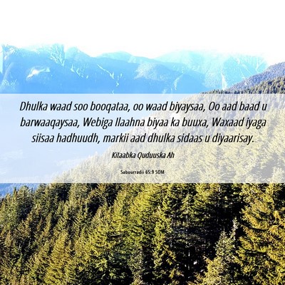 Picture 06 - Sabuurradii 65:9 SOM - Dhulka waad soo booqataa, oo waad biyaysaa, Oo - Bible Verse Picture