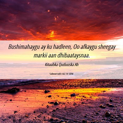 Picture 06 - Sabuurradii 66:14 SOM - Bushimahaygu ay ku hadleen, Oo afkaygu sheegay - Bible Verse Picture