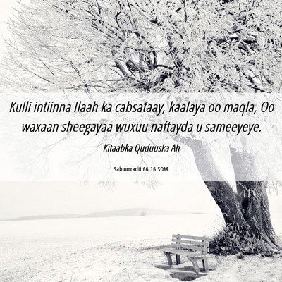 Picture 06 - Sabuurradii 66:16 SOM - Kulli intiinna Ilaah ka cabsataay, kaalaya oo - Bible Verse Picture