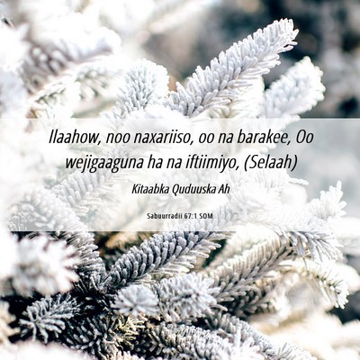 Picture 06 - Sabuurradii 67:1 SOM - Ilaahow, noo naxariiso, oo na barakee, Oo - Bible Verse Picture