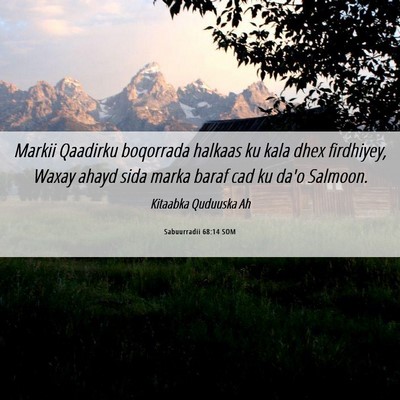 Picture 06 - Sabuurradii 68:14 SOM - Markii Qaadirku boqorrada halkaas ku kala dhex - Bible Verse Picture