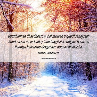 Picture 06 - Sabuurradii 68:16 SOM - Buurihiinnan dhaadheerow, bal maxaad u - Bible Verse Picture