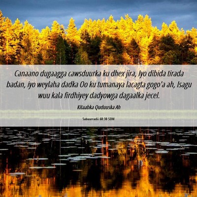 Picture 06 - Sabuurradii 68:30 SOM - Canaano dugaagga cawsduurka ku dhex jira, Iyo - Bible Verse Picture
