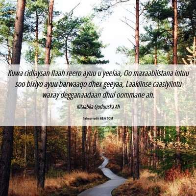 Picture 06 - Sabuurradii 68:6 SOM - Kuwa cidlaysan Ilaah reero ayuu u yeelaa, Oo - Bible Verse Picture