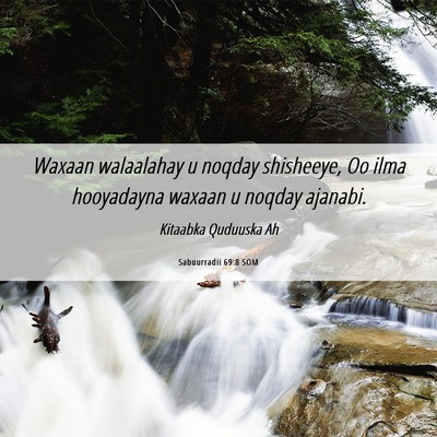 Picture 06 - Sabuurradii 69:8 SOM - Waxaan walaalahay u noqday shisheeye, Oo ilma - Bible Verse Picture