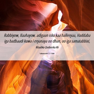 Picture 06 - Sabuurradii 7:1 SOM - Rabbiyow, Ilaahayow, adigaan isku kaa halleeyaa, - Bible Verse Picture