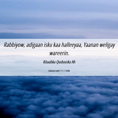 Picture 06 - Sabuurradii 71:1 SOM - Rabbiyow, adigaan isku kaa halleeyaa, Yaanan - Bible Verse Picture