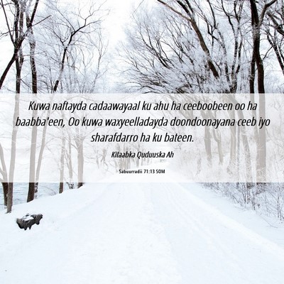 Picture 06 - Sabuurradii 71:13 SOM - Kuwa naftayda cadaawayaal ku ahu ha ceeboobeen oo - Bible Verse Picture
