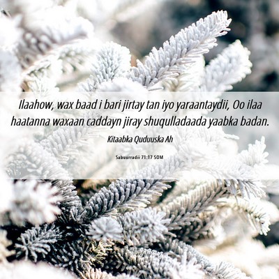 Picture 06 - Sabuurradii 71:17 SOM - Ilaahow, wax baad i bari jirtay tan iyo - Bible Verse Picture