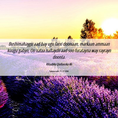 Picture 06 - Sabuurradii 71:23 SOM - Bushimahaygu aad bay ugu farxi doonaan, markaan - Bible Verse Picture