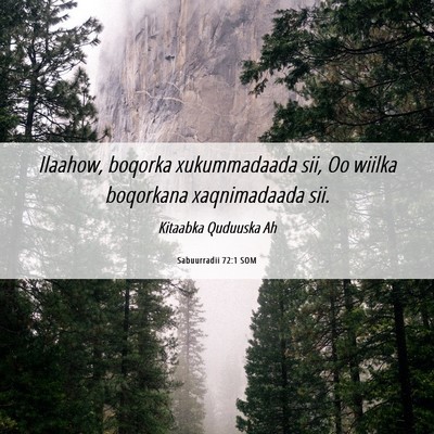 Picture 06 - Sabuurradii 72:1 SOM - Ilaahow, boqorka xukummadaada sii, Oo wiilka - Bible Verse Picture