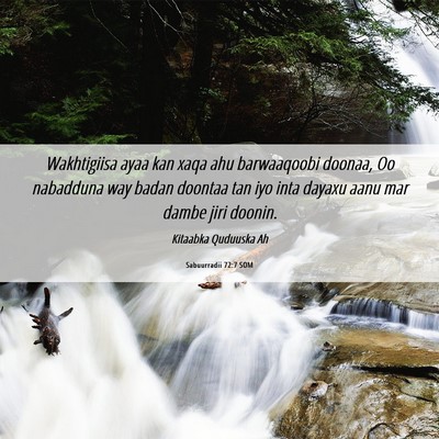 Picture 06 - Sabuurradii 72:7 SOM - Wakhtigiisa ayaa kan xaqa ahu barwaaqoobi doonaa, - Bible Verse Picture