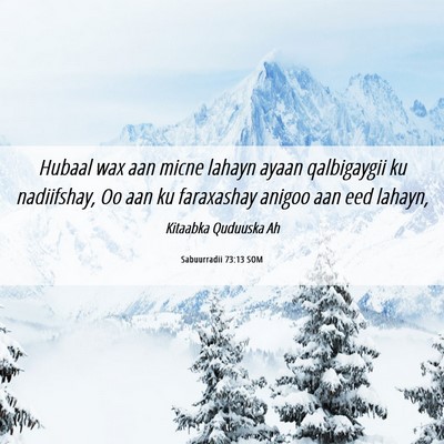 Picture 06 - Sabuurradii 73:13 SOM - Hubaal wax aan micne lahayn ayaan qalbigaygii ku - Bible Verse Picture