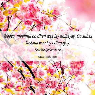 Picture 06 - Sabuurradii 73:14 SOM - Waayo, maalintii oo dhan waa lay dhibayay, Oo - Bible Verse Picture