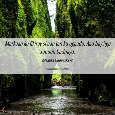 Picture 06 - Sabuurradii 73:16 SOM - Markaan ku fikiray si aan tan ku ogaado, Aad bay - Bible Verse Picture